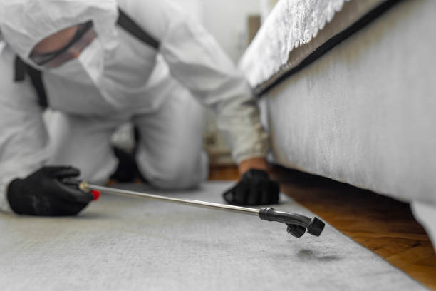 Professional Termite Control technician working in Kingston, NJ