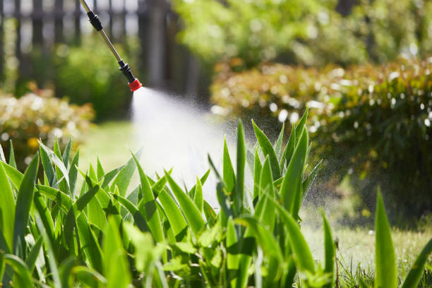 24/7 Emergency Termite Control experts in Kingston, NJ