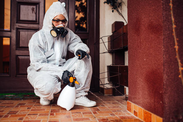 Reliable Termite Control contractor in Kingston, NJ by Nex Pest Control